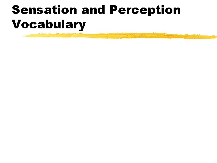 Sensation and Perception Vocabulary 