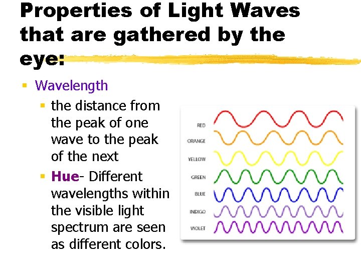 Properties of Light Waves that are gathered by the eye: § Wavelength § the