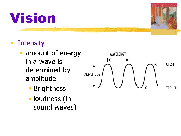 Vision § Intensity § amount of energy in a wave is determined by amplitude