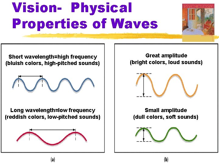 Vision- Physical Properties of Waves Short wavelength=high frequency (bluish colors, high-pitched sounds) Great amplitude