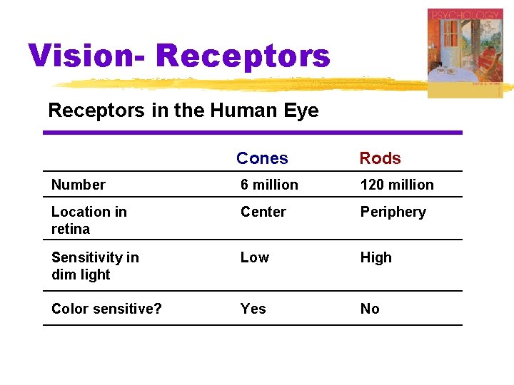 Vision- Receptors in the Human Eye Cones Rods Number 6 million 120 million Location