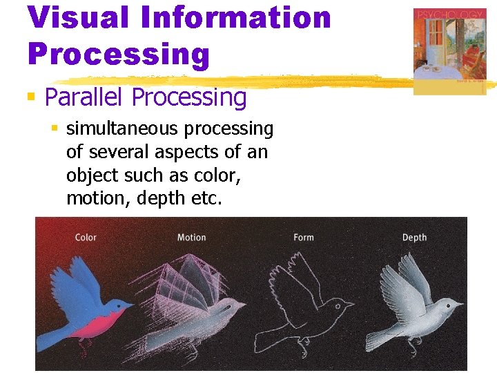 Visual Information Processing § Parallel Processing § simultaneous processing of several aspects of an