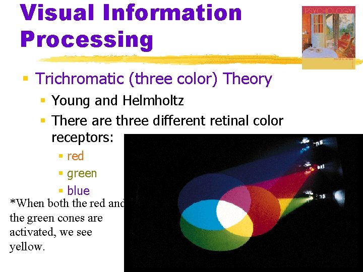 Visual Information Processing § Trichromatic (three color) Theory § Young and Helmholtz § There