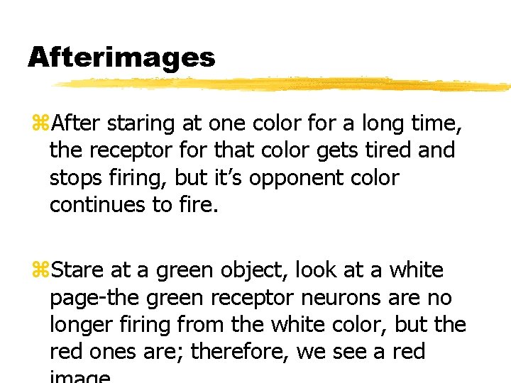 Afterimages z. After staring at one color for a long time, the receptor for