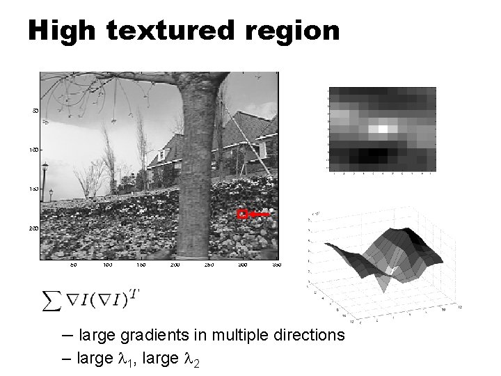 High textured region – large gradients in multiple directions – large l 1, large