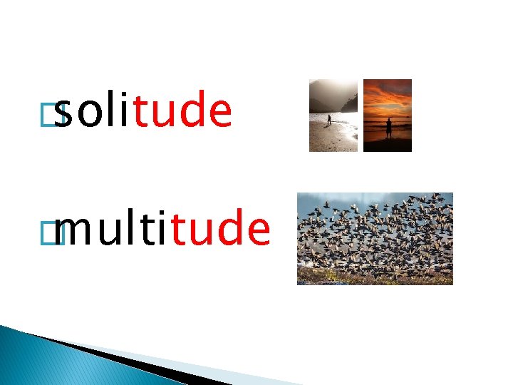 � solitude � multitude � solitude � multitude