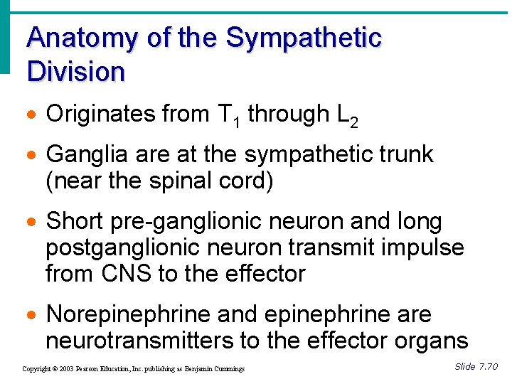 Anatomy of the Sympathetic Division · Originates from T 1 through L 2 ·