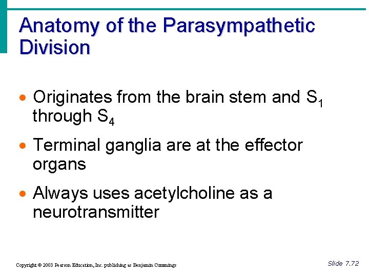 Anatomy of the Parasympathetic Division · Originates from the brain stem and S 1