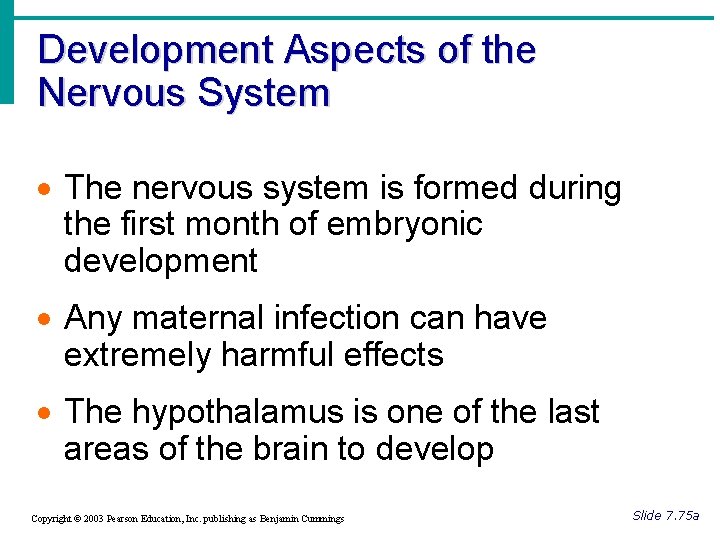 Development Aspects of the Nervous System · The nervous system is formed during the