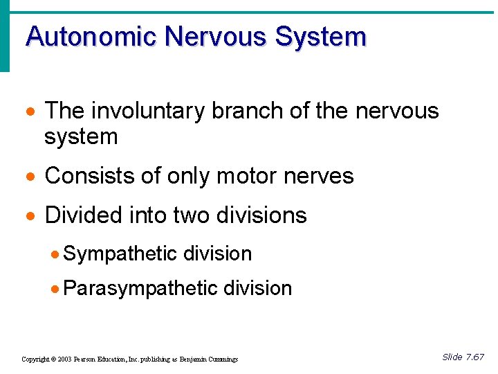 Autonomic Nervous System · The involuntary branch of the nervous system · Consists of