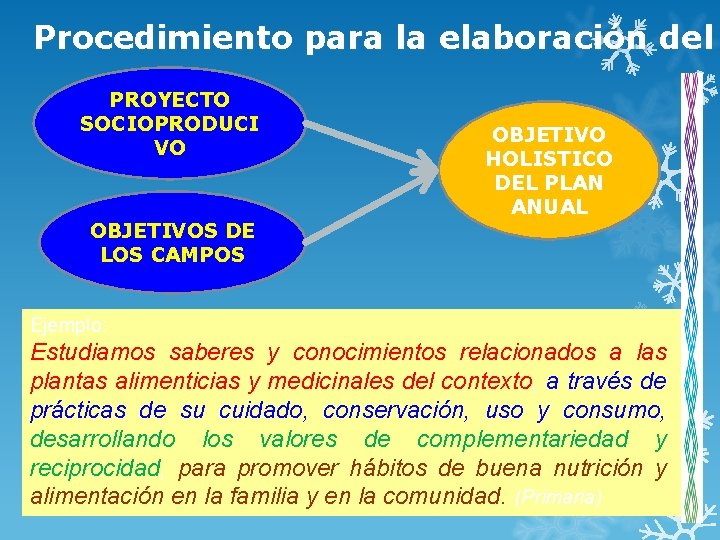 Procedimiento para la elaboración del PROYECTO SOCIOPRODUCI VO OBJETIVOS DE LOS CAMPOS OBJETIVO HOLISTICO