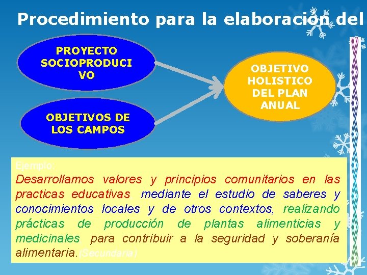 Procedimiento para la elaboración del PROYECTO SOCIOPRODUCI VO OBJETIVOS DE LOS CAMPOS OBJETIVO HOLISTICO