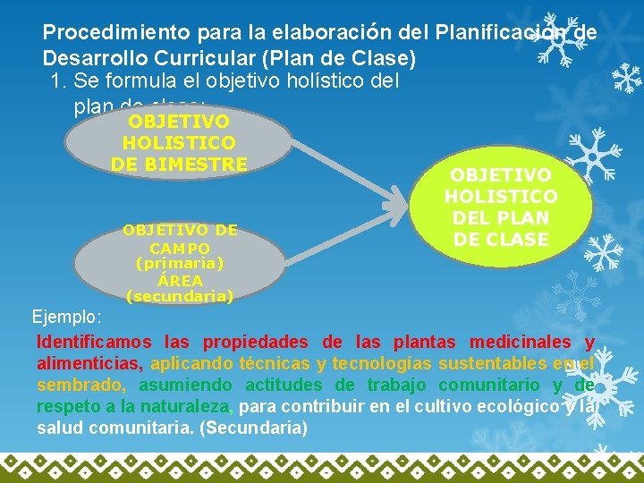 Procedimiento para la elaboración del Planificación de Desarrollo Curricular (Plan de Clase) 1. Se