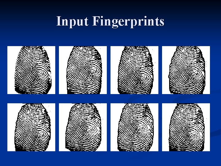 Input Fingerprints 