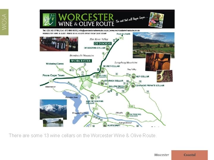 There are some 13 wine cellars on the Worcester Wine & Olive Route. 