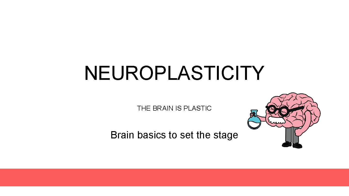 NEUROPLASTICITY THE BRAIN IS PLASTIC Brain basics to set the stage 