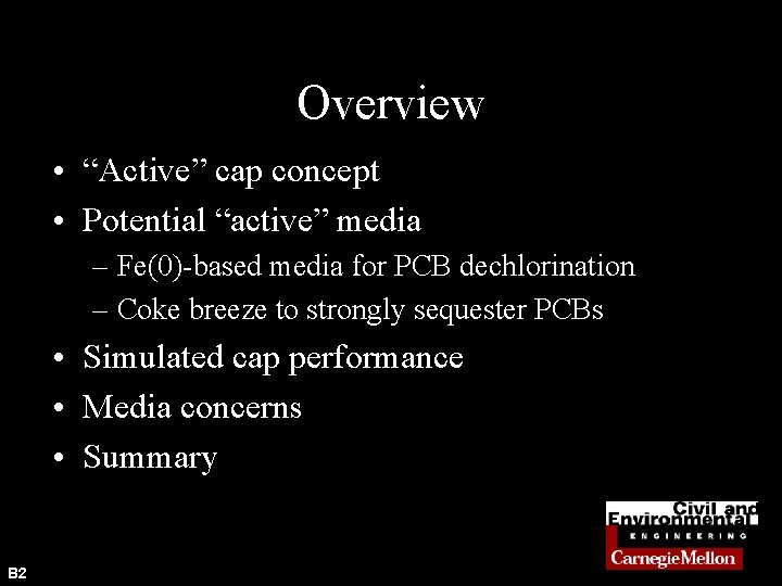 Overview • “Active” cap concept • Potential “active” media – Fe(0)-based media for PCB