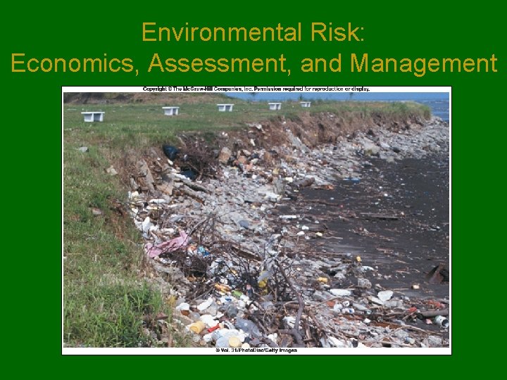 Environmental Risk: Economics, Assessment, and Management 