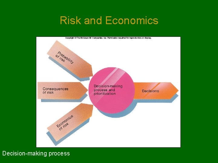 Risk and Economics Decision-making process 