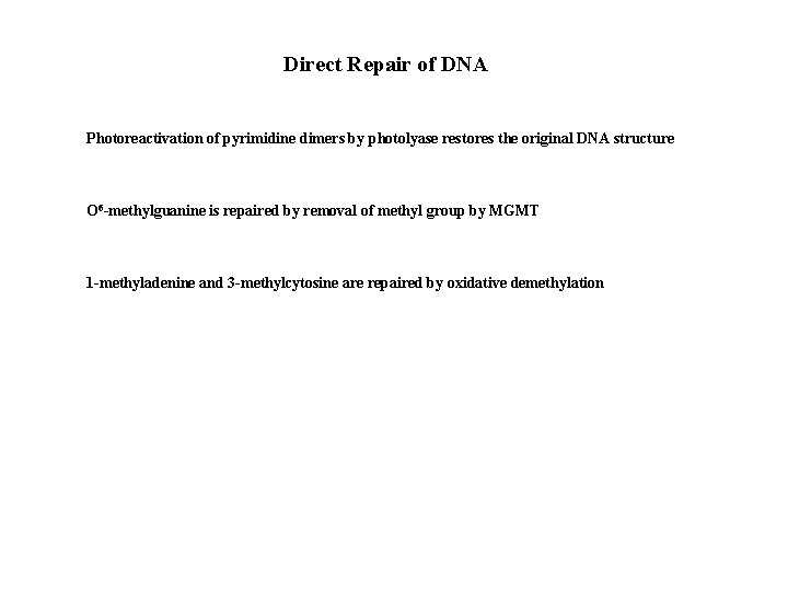 Direct Repair of DNA Photoreactivation of pyrimidine dimers by photolyase restores the original DNA