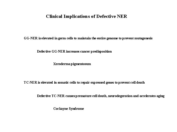 Clinical Implications of Defective NER GG-NER is elevated in germ cells to maintain the