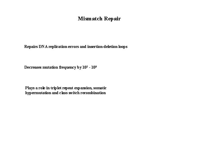 Mismatch Repairs DNA replication errors and insertion-deletion loops Decreases mutation frequency by 102 -