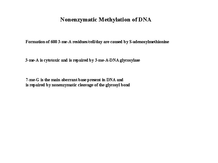 Nonenzymatic Methylation of DNA Formation of 600 3 -me-A residues/cell/day are caused by S-adenosylmethionine