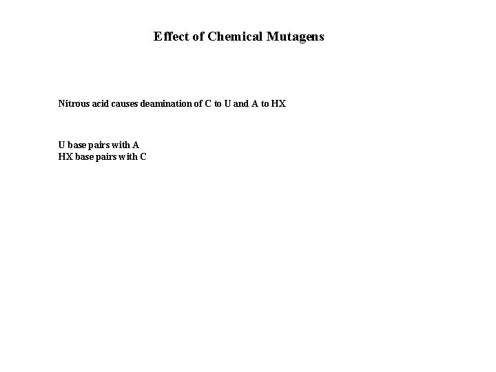 Effect of Chemical Mutagens Nitrous acid causes deamination of C to U and A