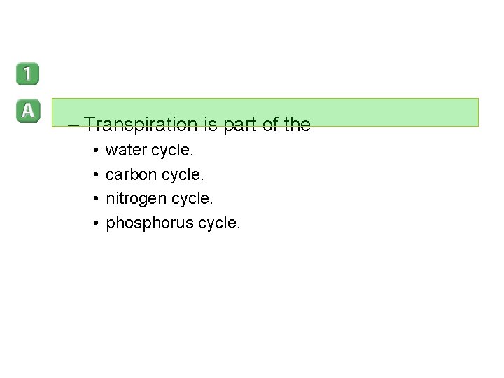 – Transpiration is part of the • • water cycle. carbon cycle. nitrogen cycle.