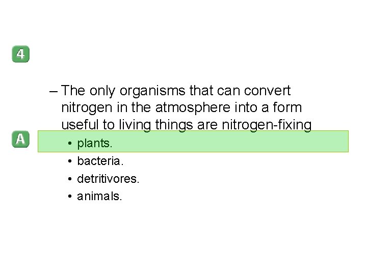 – The only organisms that can convert nitrogen in the atmosphere into a form