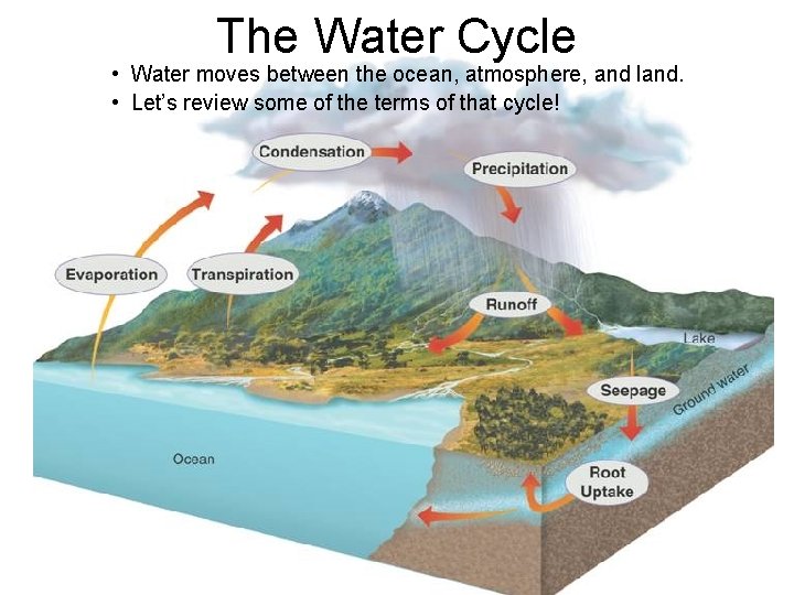 The Water Cycle • Water moves between the ocean, atmosphere, and land. • Let’s