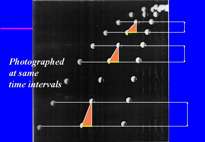 Photographed at same time intervals 