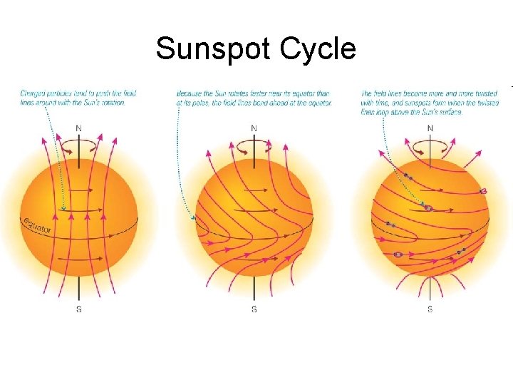 Sunspot Cycle 