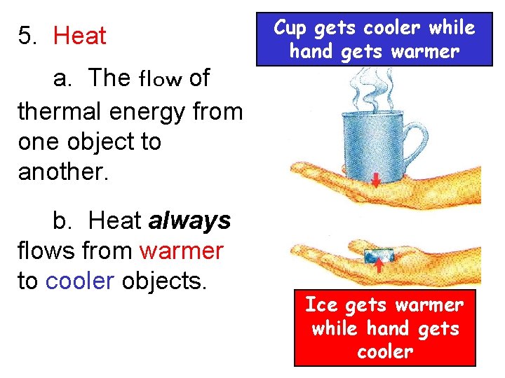 5. Heat Cup gets cooler while hand gets warmer a. The flow of thermal