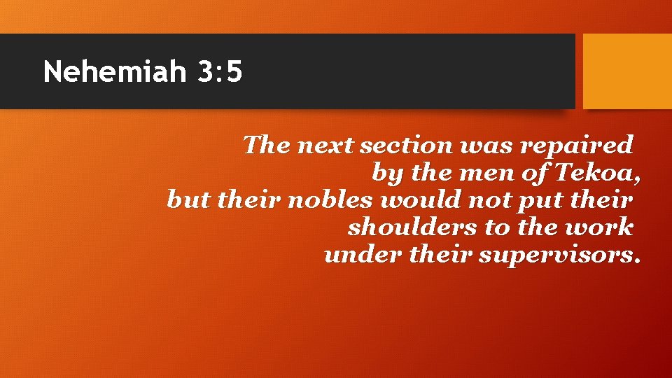 Nehemiah 3: 5 The next section was repaired by the men of Tekoa, but