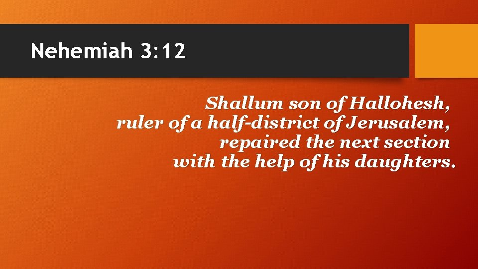 Nehemiah 3: 12 Shallum son of Hallohesh, ruler of a half-district of Jerusalem, repaired