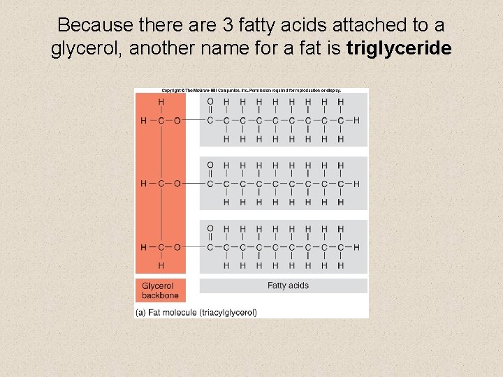 Because there are 3 fatty acids attached to a glycerol, another name for a