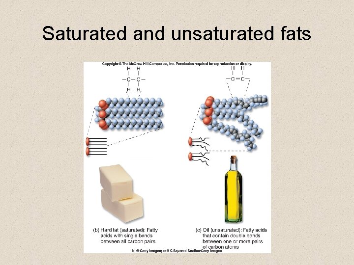 Saturated and unsaturated fats 