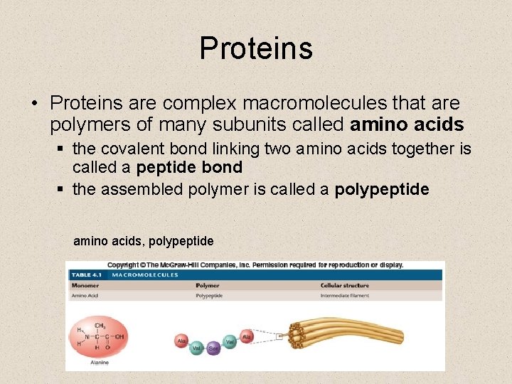 Proteins • Proteins are complex macromolecules that are polymers of many subunits called amino