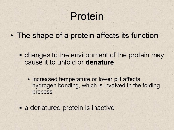 Protein • The shape of a protein affects its function § changes to the