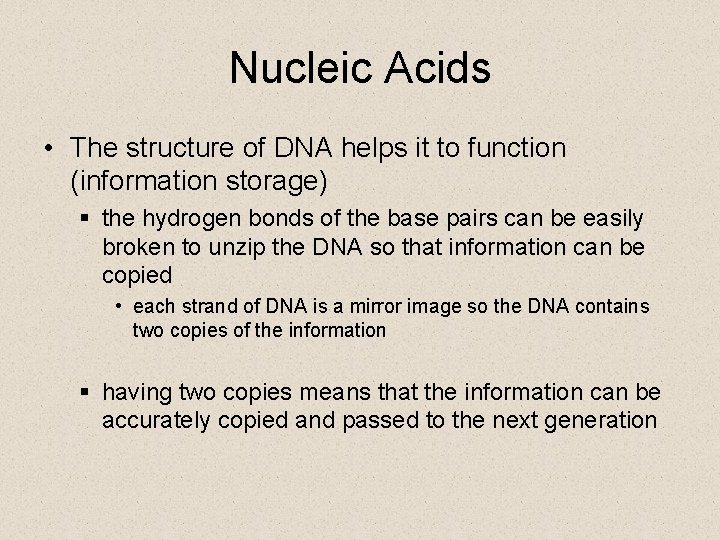Nucleic Acids • The structure of DNA helps it to function (information storage) §