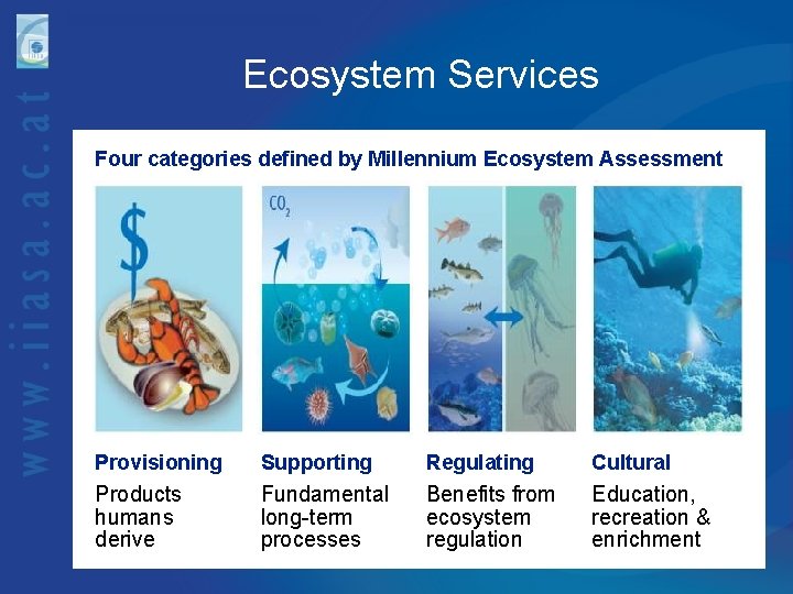 Ecosystem Services Four categories defined by Millennium Ecosystem Assessment Provisioning Supporting Regulating Cultural Products