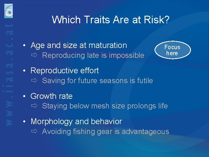 Which Traits Are at Risk? • Age and size at maturation Reproducing late is