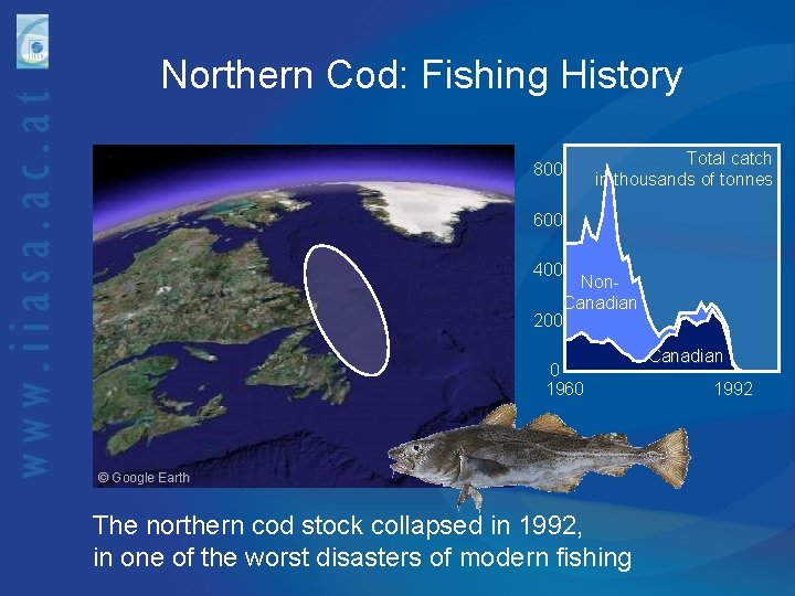 Northern Cod: Fishing History 800 Total catch in thousands of tonnes 600 400 Non.