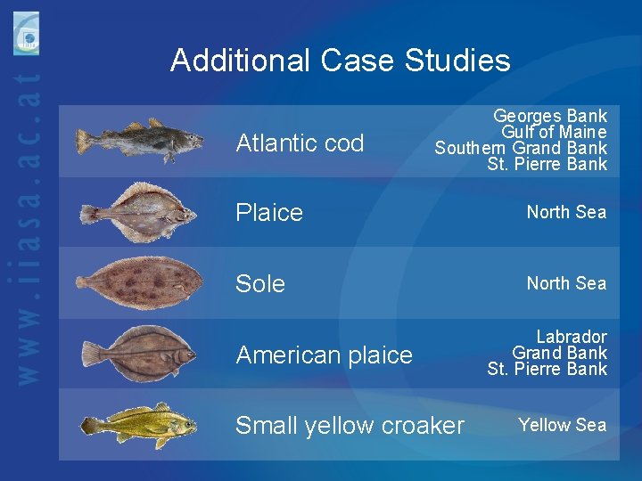 Additional Case Studies Atlantic cod Georges Bank Gulf of Maine Southern Grand Bank St.