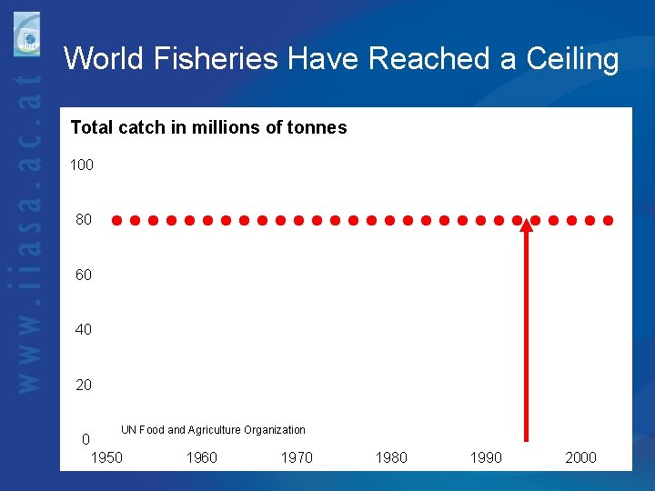 World Fisheries Have Reached a Ceiling Total catch in millions of tonnes 100 China