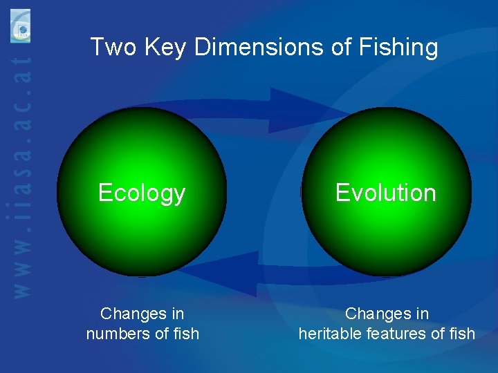 Two Key Dimensions of Fishing Ecology Evolution Changes in numbers of fish Changes in