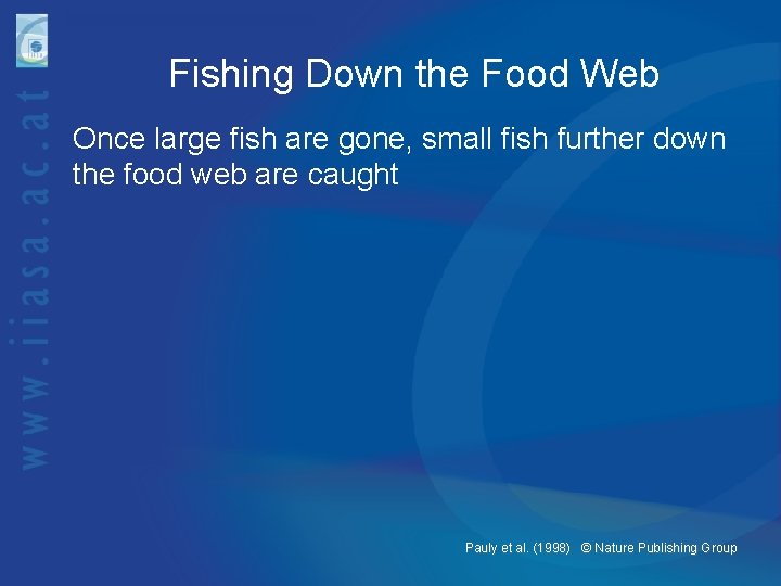 Fishing Down the Food Web Once large fish are gone, small fish further down