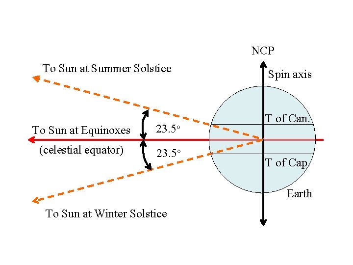 NCP To Sun at Summer Solstice To Sun at Equinoxes 23. 5 o (celestial