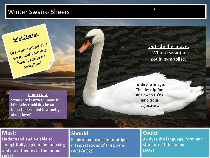 * Winter Swans- Sheers rter a t S i Min e of a n